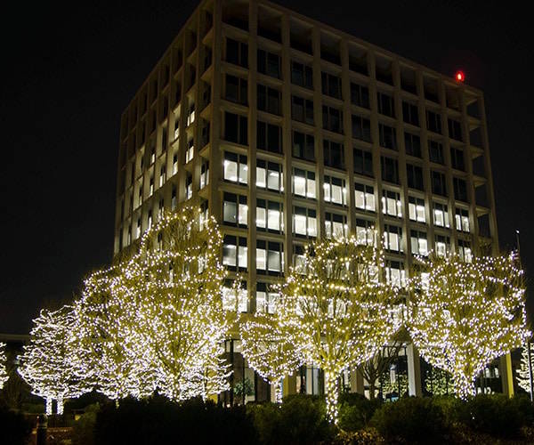 Cottage with colorful Christmas lights and festive decorations - Colorado holiday lighting company