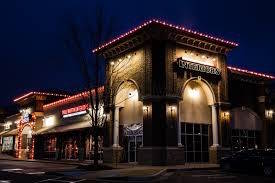 Pathway and bushes with professional Christmas lights - Fort Collins CO holiday lighting